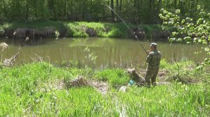 Попр. поймать хор улов на речке Н-1 плотвы и ельца весной до нереста