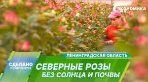 Сделано в Содружестве