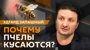 Живая природа с Эдгардом Запашным
