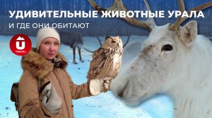 Пермский край | U-Travel